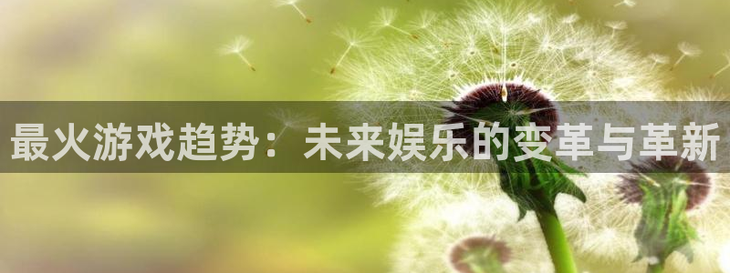 杏鑫平台开户怎么开