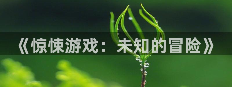 杏鑫代理注册登录不了：《惊悚游戏：未知的冒险》
