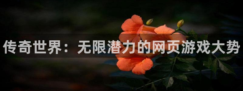 杏鑫平台正规吗可信吗：传奇世界：无限潜力的网页游戏大势